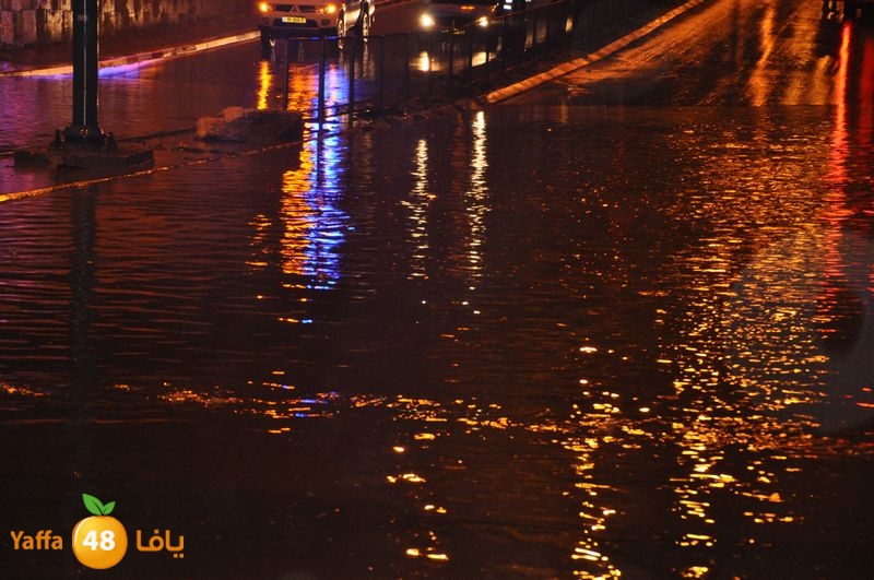 rain lud 1212 (8).JPG